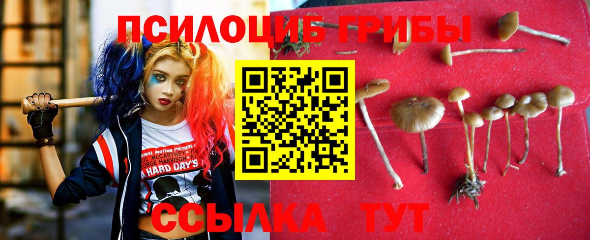 Галлюциногенные грибы ЛСД Заволжье