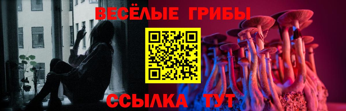 Псилоцибиновые грибы GOLDEN TEACHER  Вход с VPN  Псилоцибиновые грибы мухоморы  Заволжье 